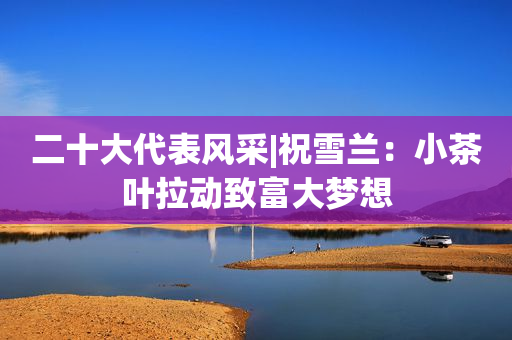 二十大代表风采|祝雪兰：小茶叶拉动致富大梦想