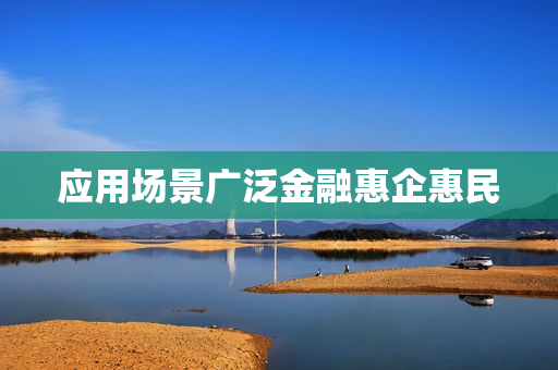 应用场景广泛金融惠企惠民