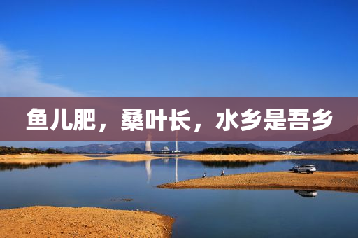 鱼儿肥，桑叶长，水乡是吾乡