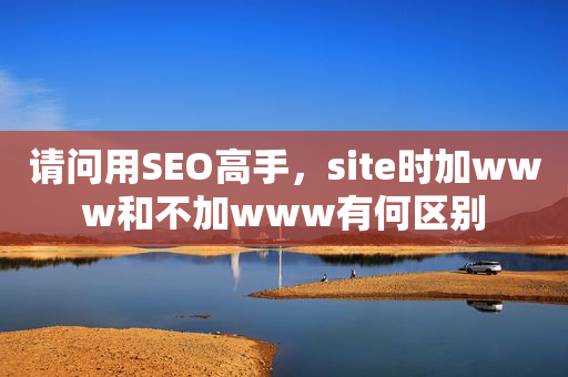 请问用SEO高手，site时加www和不加www有何区别