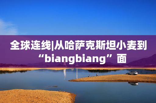 全球连线|从哈萨克斯坦小麦到“biangbiang”面