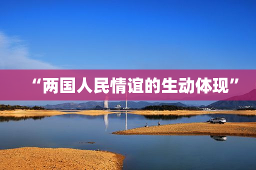 “两国人民情谊的生动体现”
