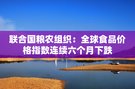 联合国粮农组织：全球食品价格指数连续六个月下跌