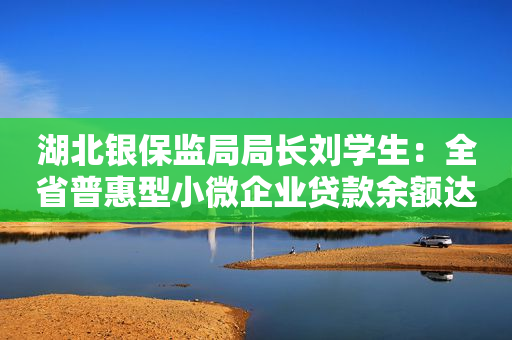 湖北银保监局局长刘学生：全省普惠型小微企业贷款余额达到6760亿元，连续多年保持25%以上增速