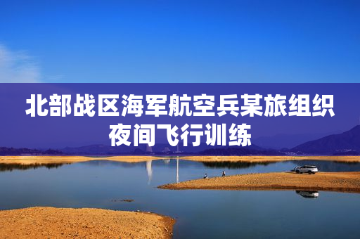 北部战区海军航空兵某旅组织夜间飞行训练