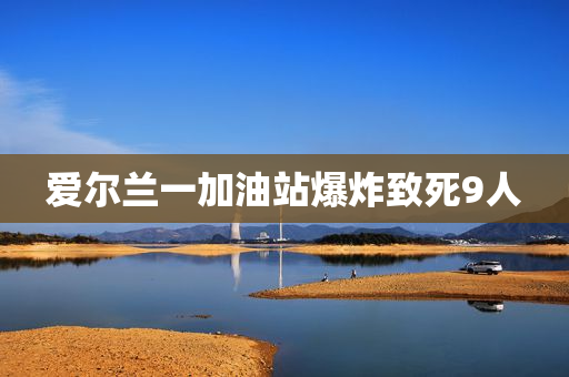 爱尔兰一加油站爆炸致死9人