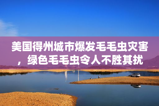 美国得州城市爆发毛毛虫灾害，绿色毛毛虫令人不胜其扰