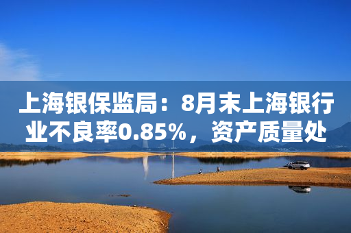 上海银保监局：8月末上海银行业不良率0.85%，资产质量处于全国最优之列
