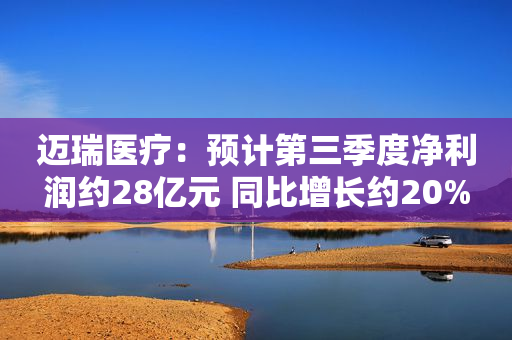迈瑞医疗：预计第三季度净利润约28亿元 同比增长约20%