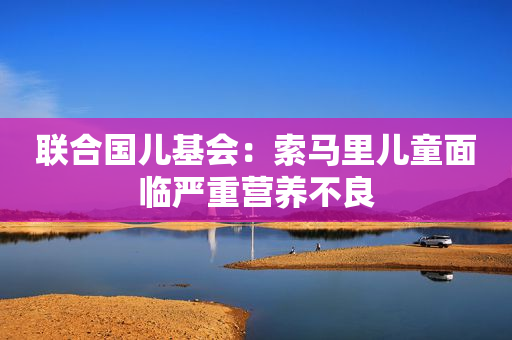 联合国儿基会：索马里儿童面临严重营养不良