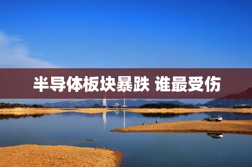 半导体板块暴跌 谁最受伤