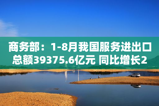 商务部：1-8月我国服务进出口总额39375.6亿元 同比增长20.4%