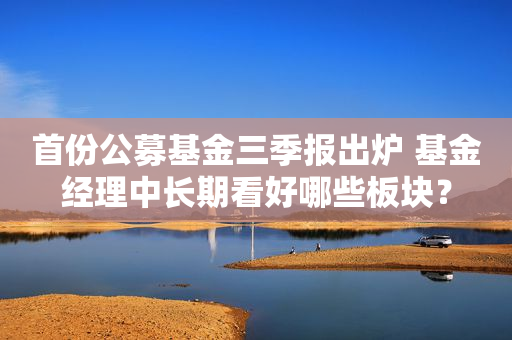 首份公募基金三季报出炉 基金经理中长期看好哪些板块？