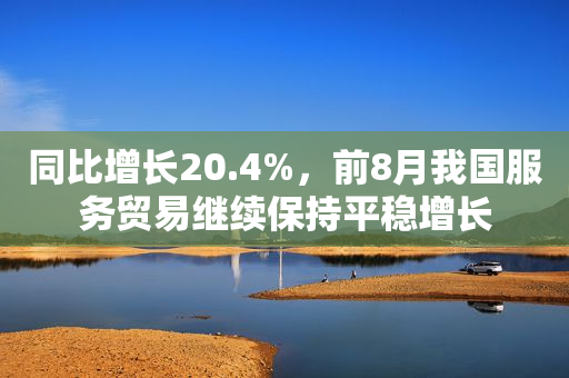 同比增长20.4%，前8月我国服务贸易继续保持平稳增长