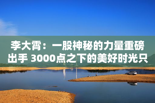 李大霄：一股神秘的力量重磅出手 3000点之下的美好时光只有两天