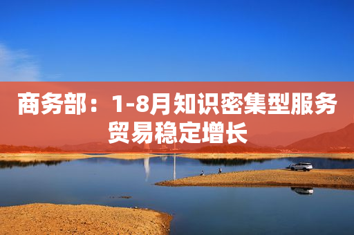 商务部：1-8月知识密集型服务贸易稳定增长