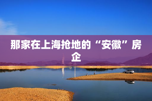 那家在上海抢地的“安徽”房企