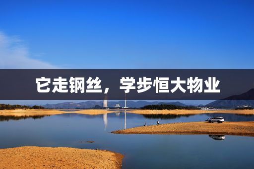 它走钢丝，学步恒大物业