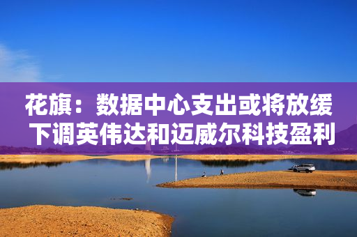 花旗：数据中心支出或将放缓 下调英伟达和迈威尔科技盈利预期