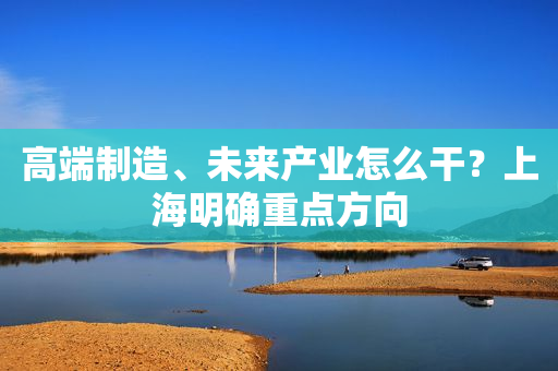高端制造、未来产业怎么干？上海明确重点方向