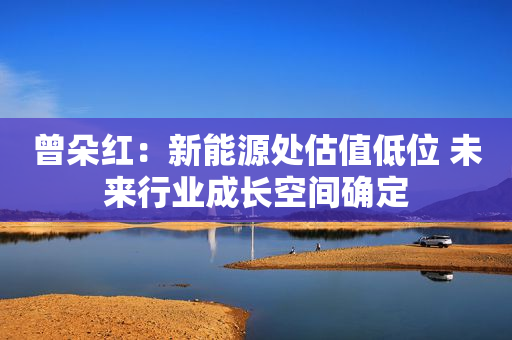 曾朵红：新能源处估值低位 未来行业成长空间确定