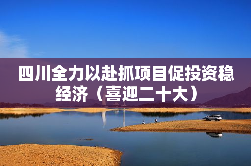 四川全力以赴抓项目促投资稳经济（喜迎二十大）