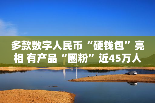 多款数字人民币“硬钱包”亮相 有产品“圈粉”近45万人