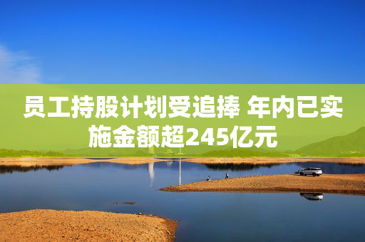 员工持股计划受追捧 年内已实施金额超245亿元