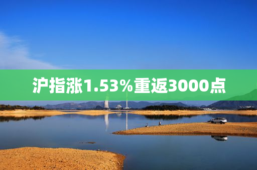 沪指涨1.53%重返3000点