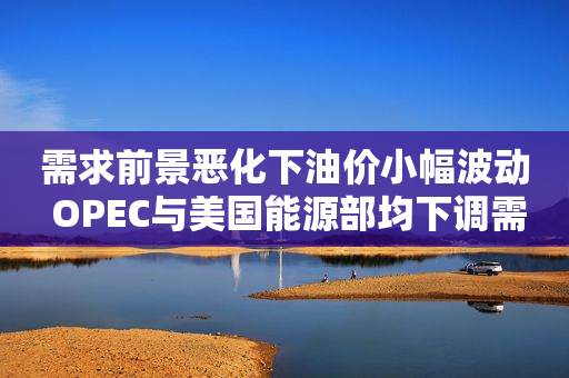 需求前景恶化下油价小幅波动 OPEC与美国能源部均下调需求预期