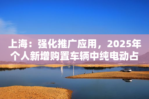 上海：强化推广应用，2025年个人新增购置车辆中纯电动占比超50%