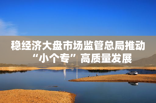 稳经济大盘市场监管总局推动“小个专”高质量发展