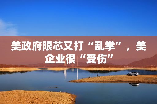 美政府限芯又打“乱拳”，美企业很“受伤”