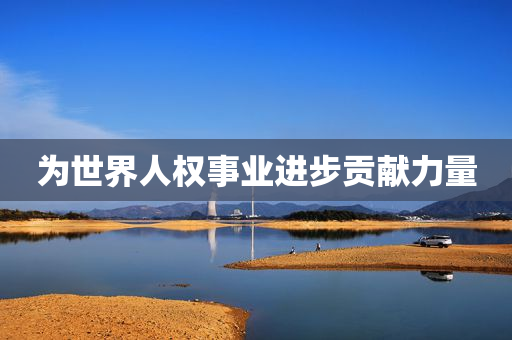 为世界人权事业进步贡献力量