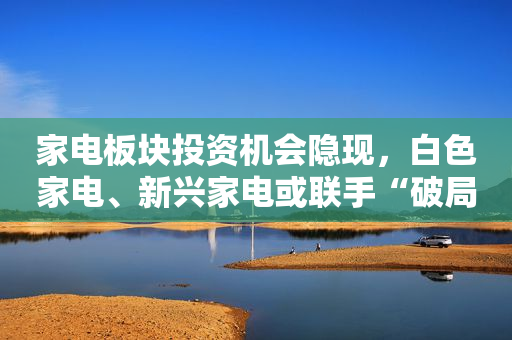 家电板块投资机会隐现，白色家电、新兴家电或联手“破局”