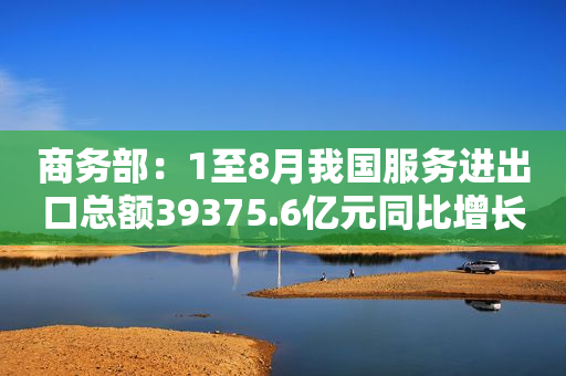 商务部：1至8月我国服务进出口总额39375.6亿元同比增长20.4%