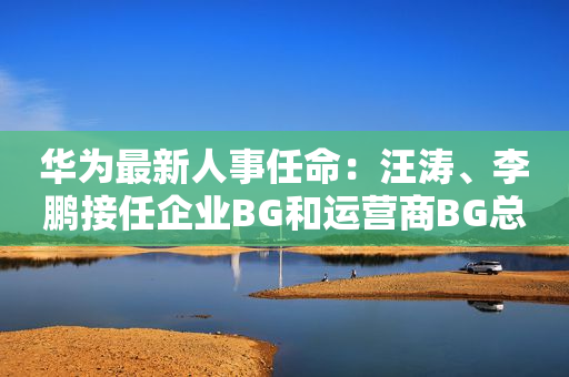 华为最新人事任命：汪涛、李鹏接任企业BG和运营商BG总裁