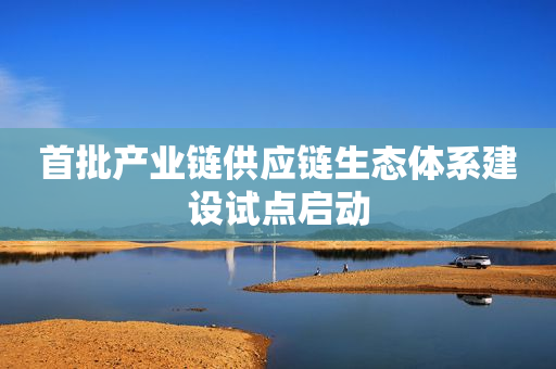 首批产业链供应链生态体系建设试点启动