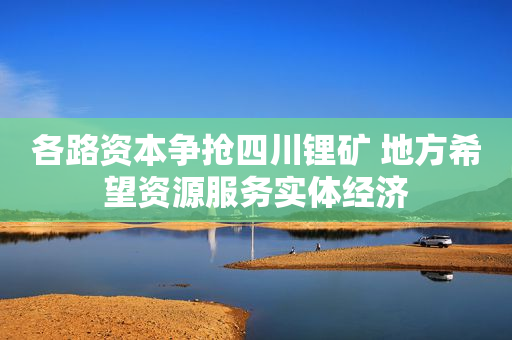 各路资本争抢四川锂矿 地方希望资源服务实体经济