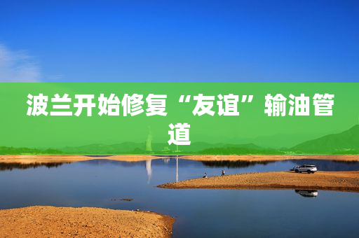 波兰开始修复“友谊”输油管道