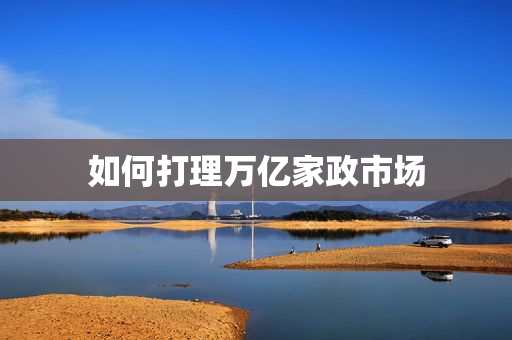 如何打理万亿家政市场