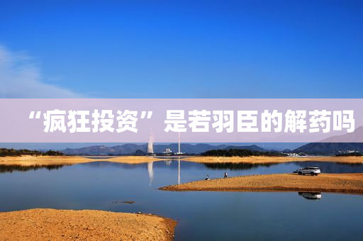 “疯狂投资”是若羽臣的解药吗