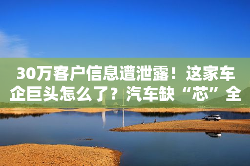 30万客户信息遭泄露！这家车企巨头怎么了？汽车缺“芯”全球已减产超350万辆
