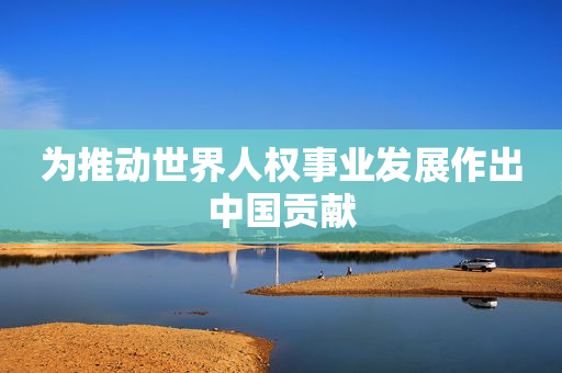 为推动世界人权事业发展作出中国贡献