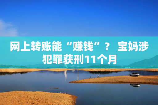 网上转账能“赚钱”？ 宝妈涉犯罪获刑11个月