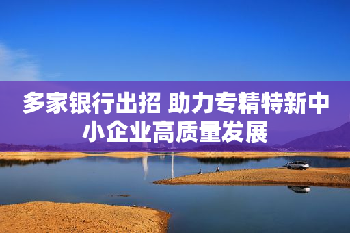 多家银行出招 助力专精特新中小企业高质量发展