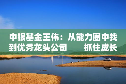 中银基金王伟：从能力圈中找到优秀龙头公司　　抓住成长确定性 　　新能源发展空间较大