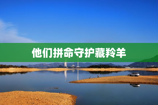 他们拼命守护藏羚羊