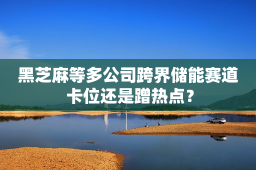 黑芝麻等多公司跨界储能赛道 卡位还是蹭热点？