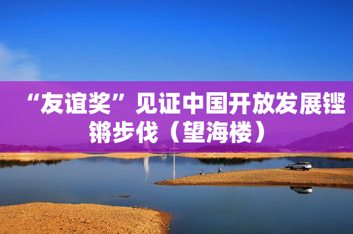 “友谊奖”见证中国开放发展铿锵步伐（望海楼）